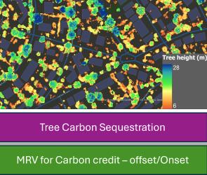 Tree level carbon mapping dashboard using LiDAR and environmental analytics
